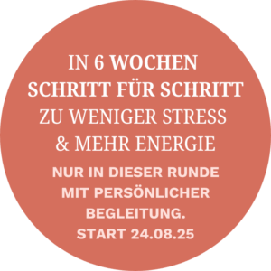Der Selbstfürsorge-Kompass, Selbstfürsorge Online Kurs, Chronische Symptome, chronische Erkrankung, Störer
