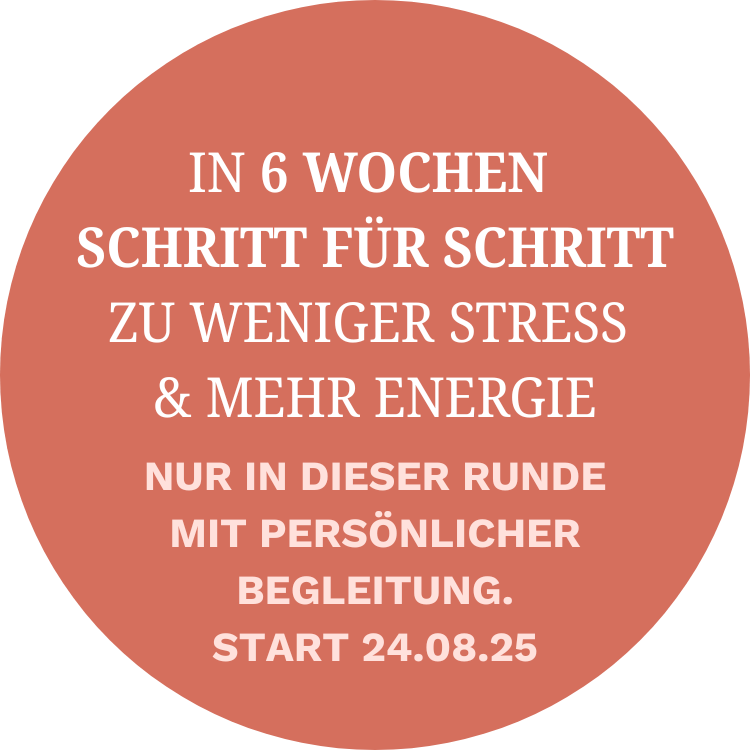 Der Selbstfürsorge-Kompass, Selbstfürsorge Online Kurs, Chronische Symptome, chronische Erkrankung, Störer